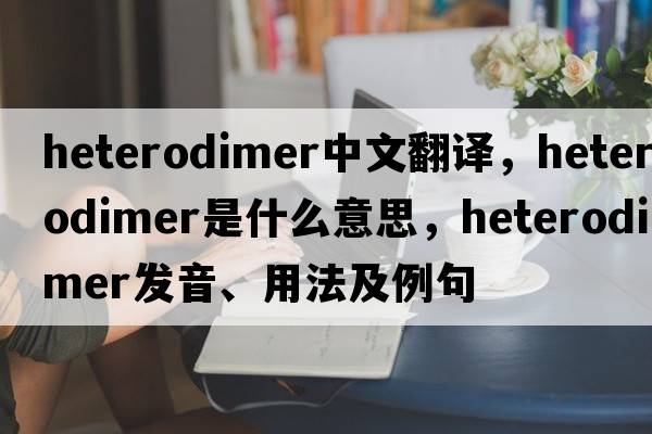 heterodimer中文翻譯，heterodimer是什么意思，heterodimer發(fā)音、用法及例句
