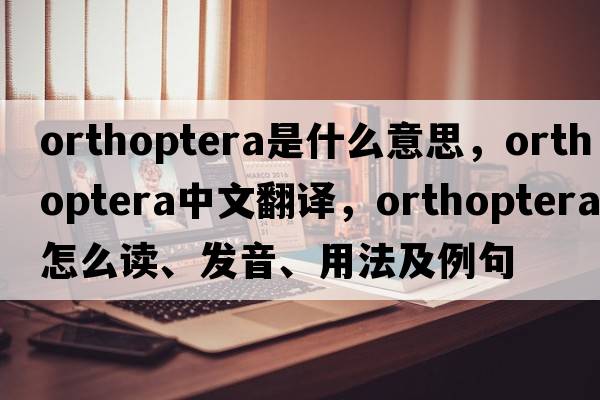 orthoptera是什么意思，orthoptera中文翻譯，orthoptera怎么讀、發(fā)音、用法及例句