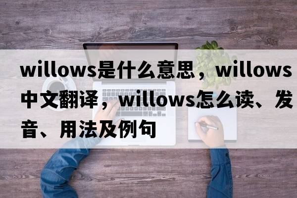 willows是什么意思，willows中文翻譯，willows怎么讀、發(fā)音、用法及例句