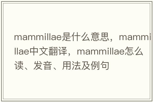 mammillae是什么意思，mammillae中文翻譯，mammillae怎么讀、發(fā)音、用法及例句