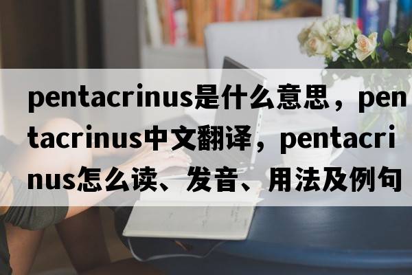 Pentacrinus是什么意思，Pentacrinus中文翻譯，Pentacrinus怎么讀、發(fā)音、用法及例句