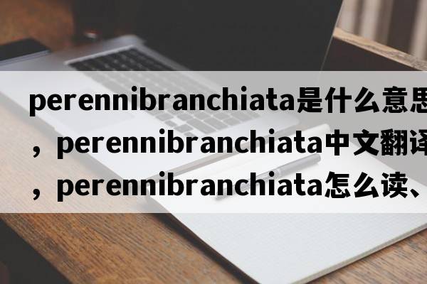 perennibranchiata是什么意思，perennibranchiata中文翻譯，perennibranchiata怎么讀、發(fā)音、用法及例句