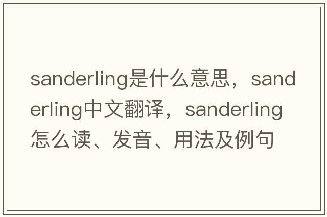 sanderling是什么意思，sanderling中文翻譯，sanderling怎么讀、發(fā)音、用法及例句