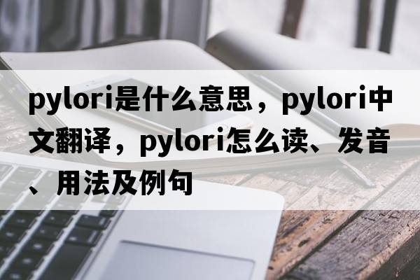 pylori是什么意思，pylori中文翻譯，pylori怎么讀、發(fā)音、用法及例句