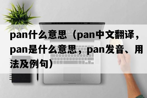 pan什么意思（pan中文翻譯，pan是什么意思，pan發(fā)音、用法及例句）