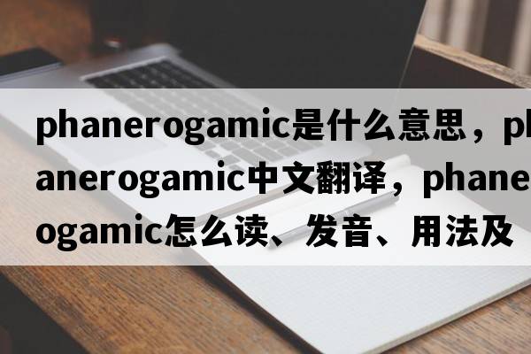 phanerogamic是什么意思，phanerogamic中文翻譯，phanerogamic怎么讀、發(fā)音、用法及例句