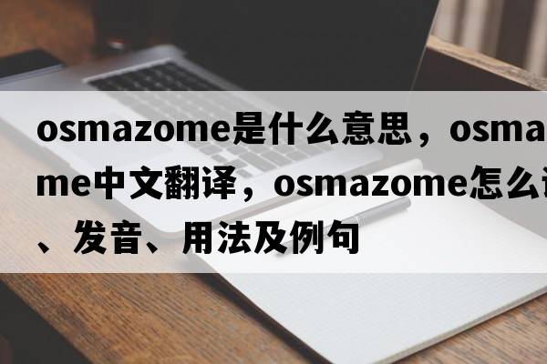 osmazome是什么意思，osmazome中文翻譯，osmazome怎么讀、發(fā)音、用法及例句