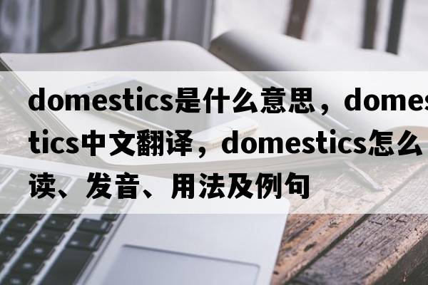 domestics是什么意思，domestics中文翻譯，domestics怎么讀、發(fā)音、用法及例句