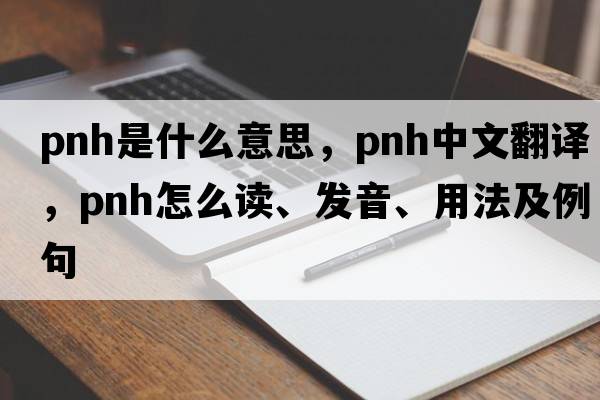 PNH是什么意思，PNH中文翻譯，PNH怎么讀、發(fā)音、用法及例句
