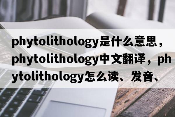 phytolithology是什么意思，phytolithology中文翻譯，phytolithology怎么讀、發(fā)音、用法及例句