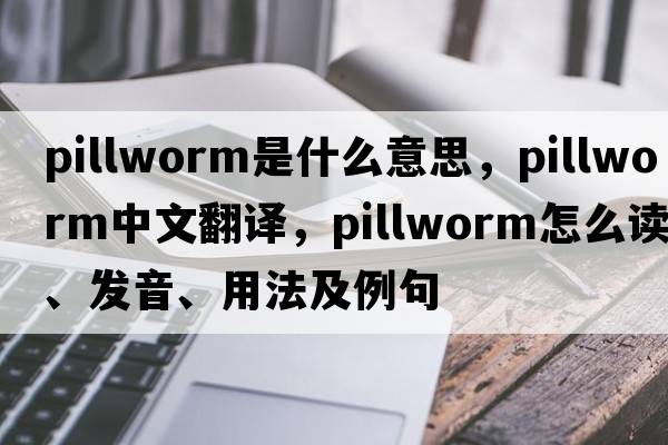 pillworm是什么意思，pillworm中文翻譯，pillworm怎么讀、發(fā)音、用法及例句