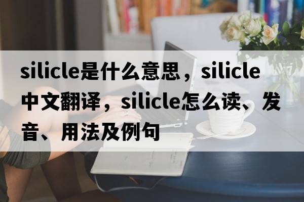 silicle是什么意思，silicle中文翻譯，silicle怎么讀、發(fā)音、用法及例句