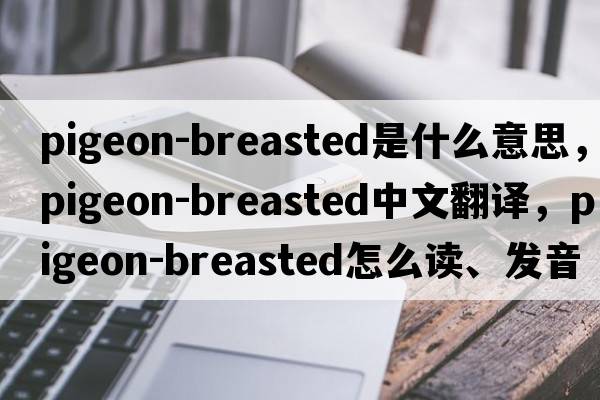 pigeon-breasted是什么意思，pigeon-breasted中文翻譯，pigeon-breasted怎么讀、發(fā)音、用法及例句