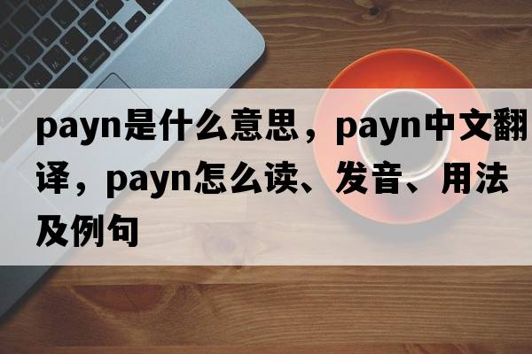 Payn是什么意思，Payn中文翻譯，Payn怎么讀、發(fā)音、用法及例句