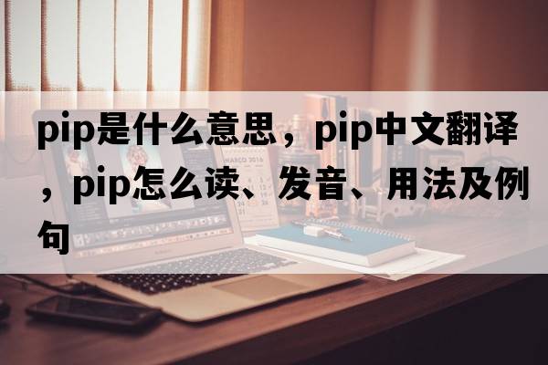 pip是什么意思，pip中文翻譯，pip怎么讀、發(fā)音、用法及例句