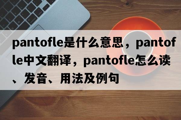 pantofle是什么意思，pantofle中文翻譯，pantofle怎么讀、發(fā)音、用法及例句