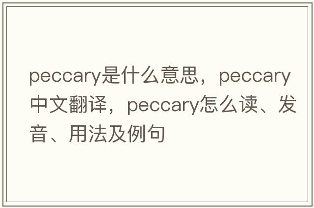 peccary是什么意思，peccary中文翻譯，peccary怎么讀、發(fā)音、用法及例句