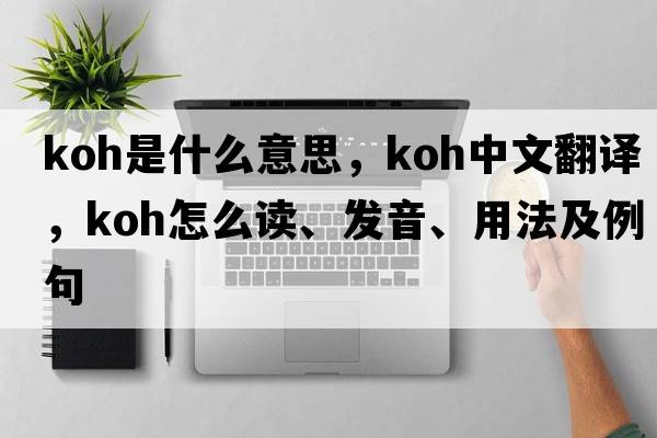 KOH是什么意思，KOH中文翻譯，KOH怎么讀、發(fā)音、用法及例句
