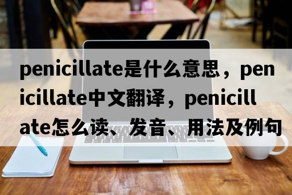 penicillate是什么意思，penicillate中文翻譯，penicillate怎么讀、發(fā)音、用法及例句