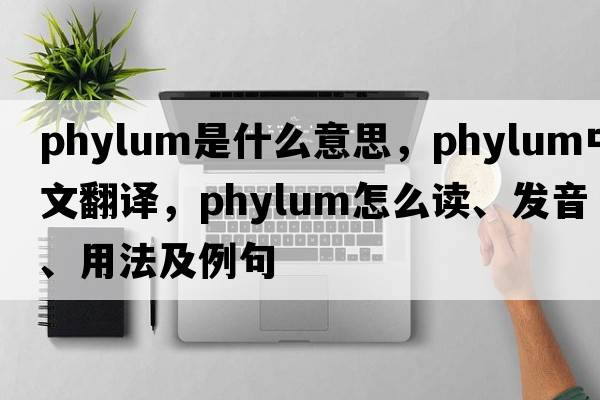 phylum是什么意思，phylum中文翻譯，phylum怎么讀、發(fā)音、用法及例句