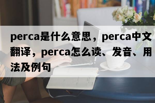 Perca是什么意思，Perca中文翻譯，Perca怎么讀、發(fā)音、用法及例句