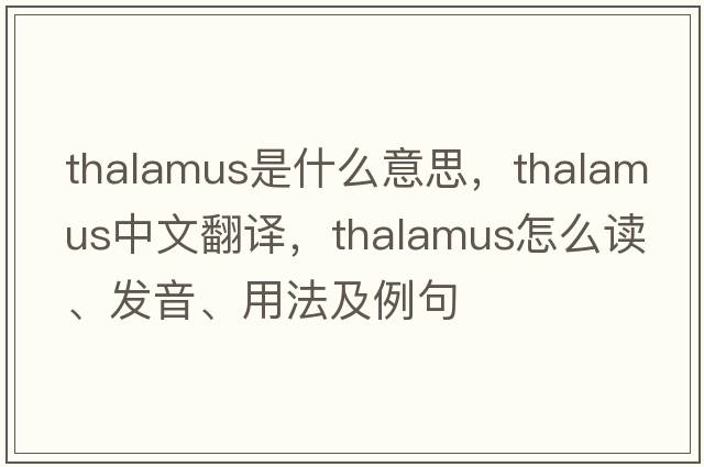 thalamus是什么意思，thalamus中文翻譯，thalamus怎么讀、發(fā)音、用法及例句