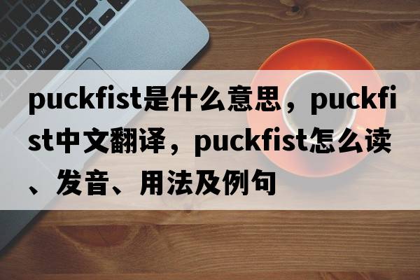 puckfist是什么意思，puckfist中文翻譯，puckfist怎么讀、發(fā)音、用法及例句