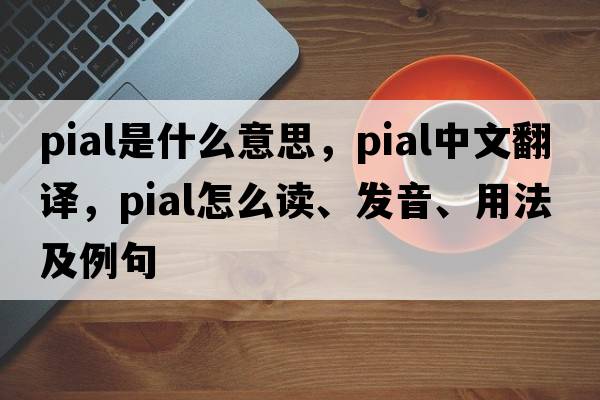 pial是什么意思，pial中文翻譯，pial怎么讀、發(fā)音、用法及例句
