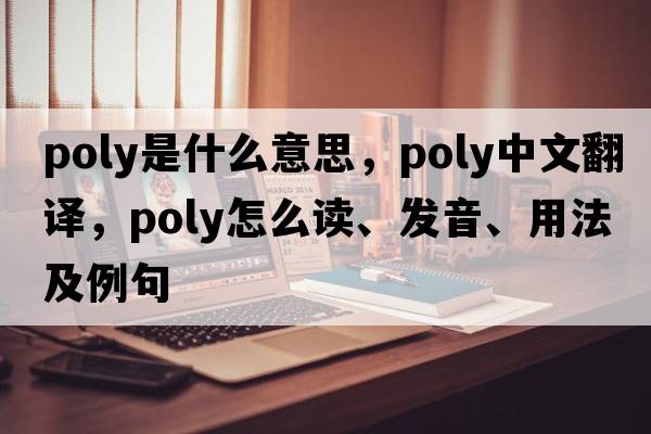 poly是什么意思，poly中文翻譯，poly怎么讀、發(fā)音、用法及例句