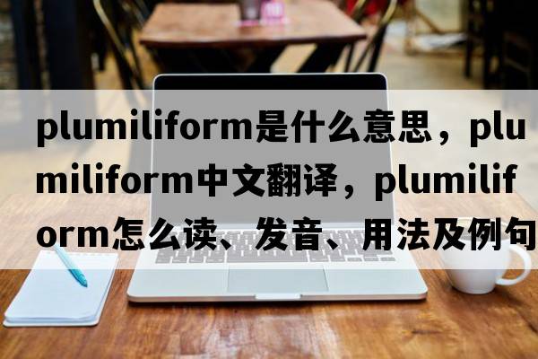 plumiliform是什么意思，plumiliform中文翻譯，plumiliform怎么讀、發(fā)音、用法及例句