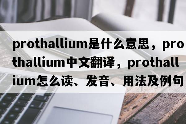 prothallium是什么意思，prothallium中文翻譯，prothallium怎么讀、發(fā)音、用法及例句