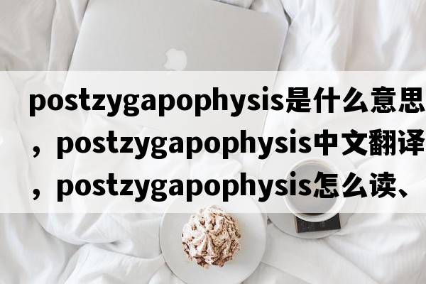 postzygapophysis是什么意思，postzygapophysis中文翻譯，postzygapophysis怎么讀、發(fā)音、用法及例句