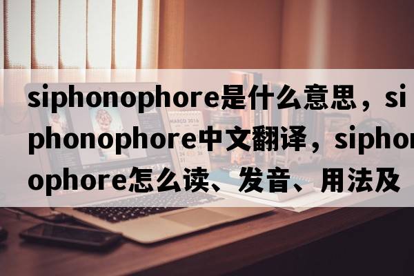 siphonophore是什么意思，siphonophore中文翻譯，siphonophore怎么讀、發(fā)音、用法及例句
