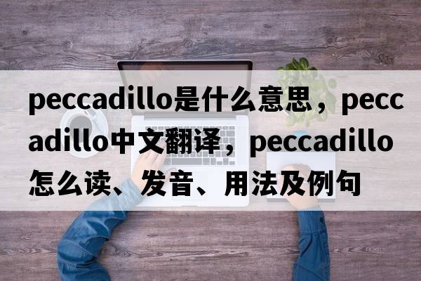 peccadillo是什么意思，peccadillo中文翻譯，peccadillo怎么讀、發(fā)音、用法及例句