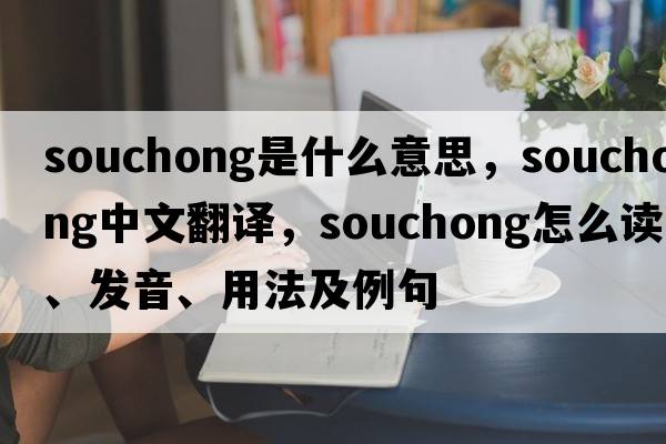 souchong是什么意思，souchong中文翻譯，souchong怎么讀、發(fā)音、用法及例句