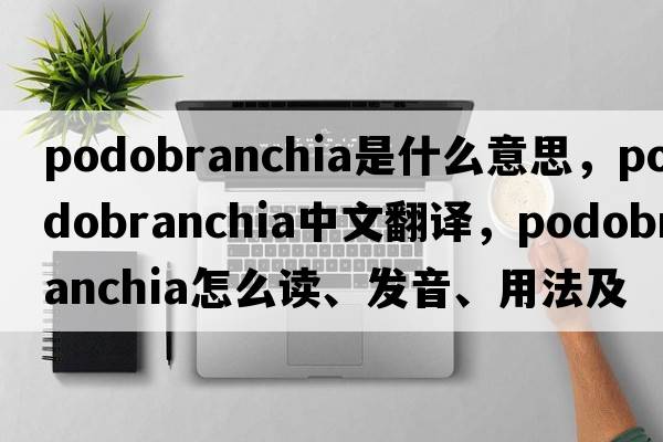 podobranchia是什么意思，podobranchia中文翻譯，podobranchia怎么讀、發(fā)音、用法及例句