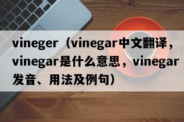 vineger（vinegar中文翻譯，vinegar是什么意思，vinegar發(fā)音、用法及例句）