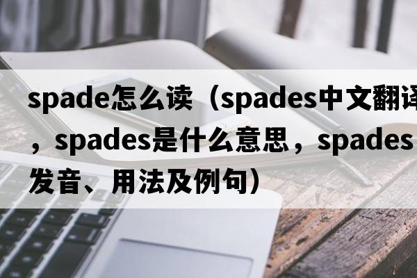 spade怎么讀（spades中文翻譯，spades是什么意思，spades發(fā)音、用法及例句）