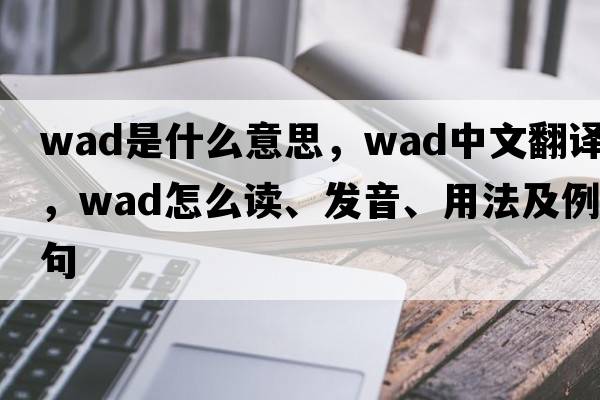 wad是什么意思，wad中文翻譯，wad怎么讀、發(fā)音、用法及例句
