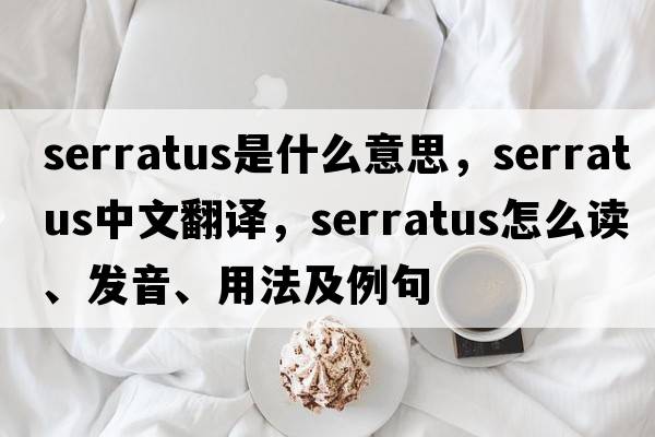 serratus是什么意思，serratus中文翻譯，serratus怎么讀、發(fā)音、用法及例句