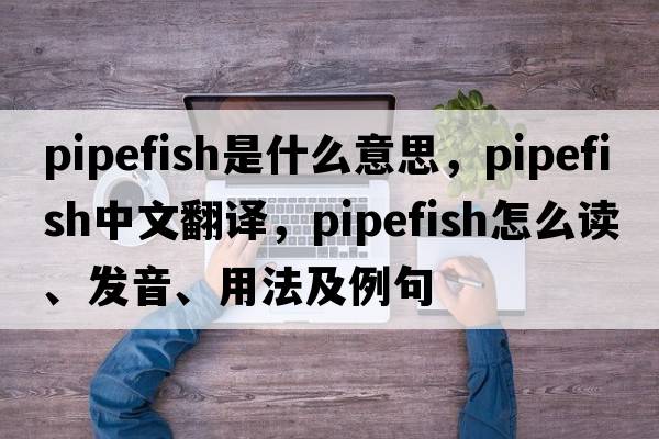 pipefish是什么意思，pipefish中文翻譯，pipefish怎么讀、發(fā)音、用法及例句