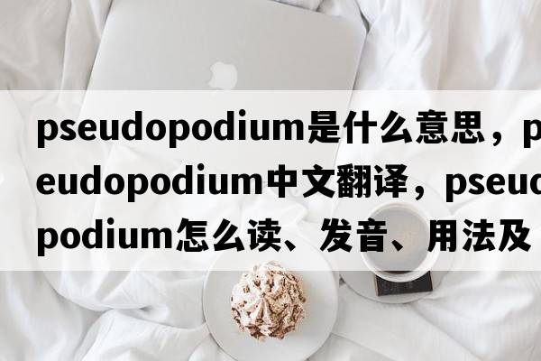 pseudopodium是什么意思，pseudopodium中文翻譯，pseudopodium怎么讀、發(fā)音、用法及例句