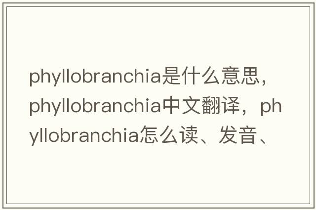 phyllobranchia是什么意思，phyllobranchia中文翻譯，phyllobranchia怎么讀、發(fā)音、用法及例句