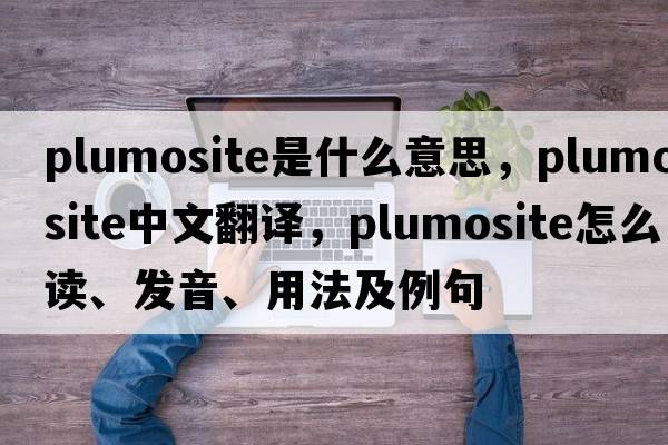 plumosite是什么意思，plumosite中文翻譯，plumosite怎么讀、發(fā)音、用法及例句