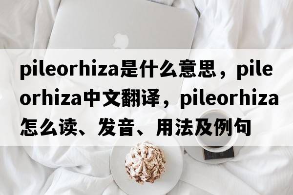 pileorhiza是什么意思，pileorhiza中文翻譯，pileorhiza怎么讀、發(fā)音、用法及例句