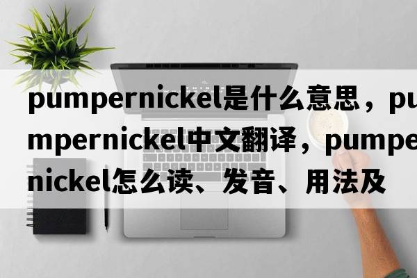 pumpernickel是什么意思，pumpernickel中文翻譯，pumpernickel怎么讀、發(fā)音、用法及例句