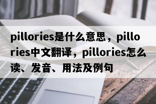 pillories是什么意思，pillories中文翻譯，pillories怎么讀、發(fā)音、用法及例句