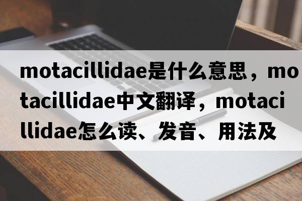 Motacillidae是什么意思，Motacillidae中文翻譯，Motacillidae怎么讀、發(fā)音、用法及例句
