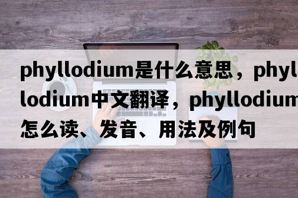 phyllodium是什么意思，phyllodium中文翻譯，phyllodium怎么讀、發(fā)音、用法及例句