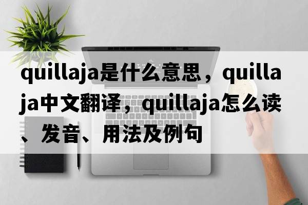 quillaja是什么意思，quillaja中文翻譯，quillaja怎么讀、發(fā)音、用法及例句